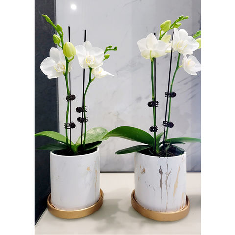 1pc Vase En Pierre Géante Décoration De Maison Pot De Fleurs