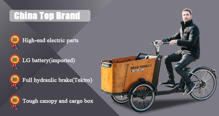 Compre Bicicleta De Carga Eléctrica De 3 Ruedas/triciclo De Carga/caja  Delantera De Triciclo De Carga y Bicicleta De Carga de China por 1480 USD