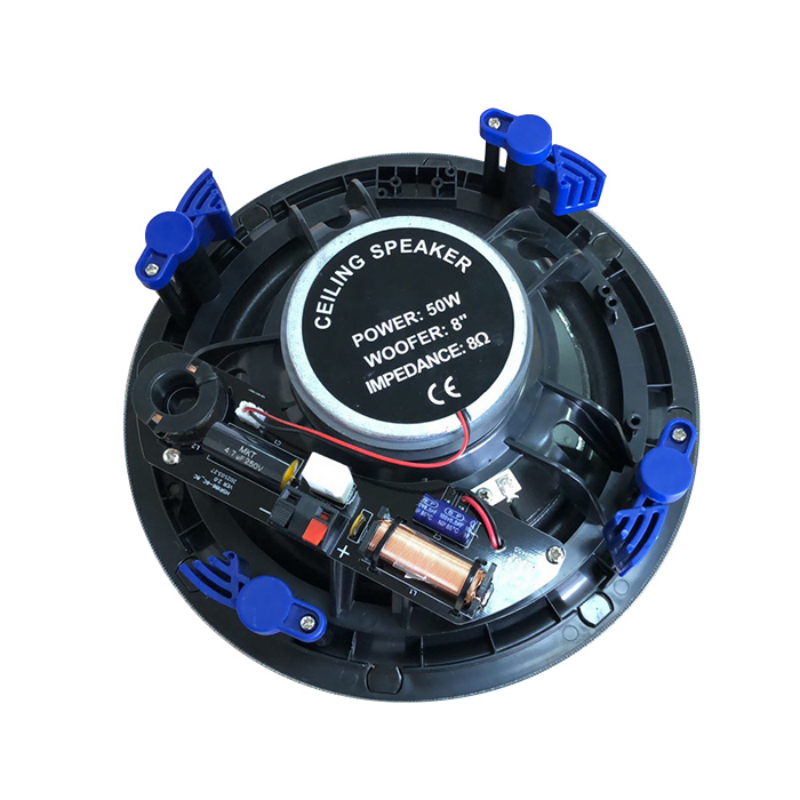 Buy Wholesale China Outdoor Ceiling Speaker With 100v Line Community System & Outdoor Ceiling