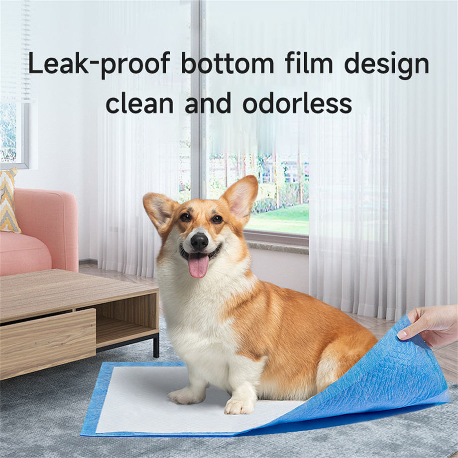 Buy China Wholesale High Quality Super Absorbent Pad Dog Training Urine