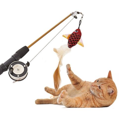 Customized New Style Outdoor Funny Cat Fishing Rod Interactive Cat Toy -  China Cat Toys and Toy Cats price
