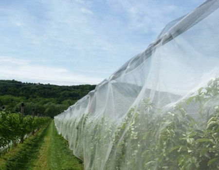 Insect Nets Greenhouse Agricultural Protection Insect Nets Fine Nets - Buy  China Wholesale Insect Nets $5.2