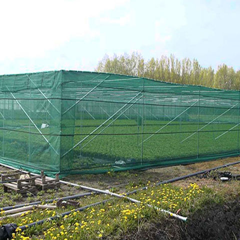 Filet électrique vert de 50 mètres pour volailles-Clôture Agro Direct