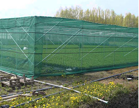 Plastic flat netting, application as shade net in agriculture