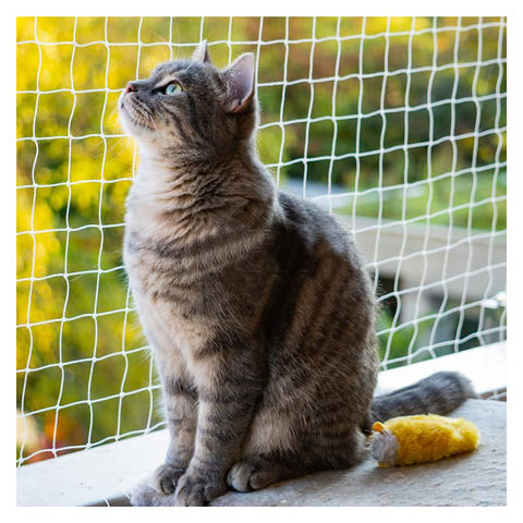 Supply Window Safe Cat Protection Net Balcony Cat Net Apply To