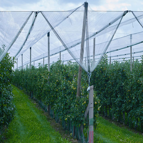 HDPE Mesh Fencing Trellis Plastic Net Garden Fence for Garden Crop Plant -  China Garden Supplies and Garden price