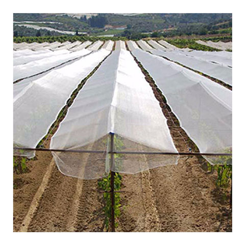 Buy Standard Quality China Wholesale Hdpe Mono Anti Hail Net With Uv  Resistant To Protect Fruit Tree $0.19 Direct from Factory at Weihai  Saifeide Plastic And Chemical Industry Co.,Ltd