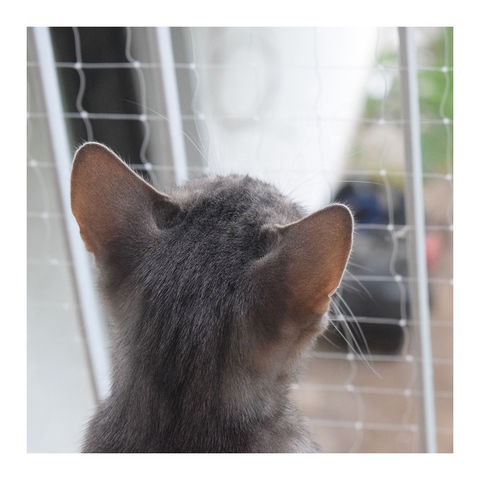 Cat Black Net Balcony Protective Net Nylon Pet Fence Dogs Safety