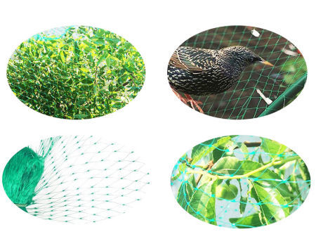 High Protection Hdpe Bird Mist Nets For Catching Birds Anti Bird Net $2.6 -  Wholesale China Anti Bird Net at factory prices from Weihai Saifeide  Plastic And Chemical Industry Co.,Ltd