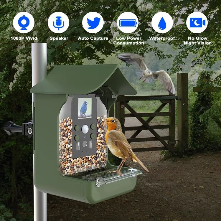 Mangeoire Oiseaux Transparent Station D'alimentation Automatique