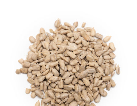 Whole sell roasted sunflower seeds kernel with CONFECTIONARY AND BAKERY supplier