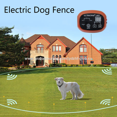 Amazon Best Rated Wireless Dog Containment System Gps Dog Best