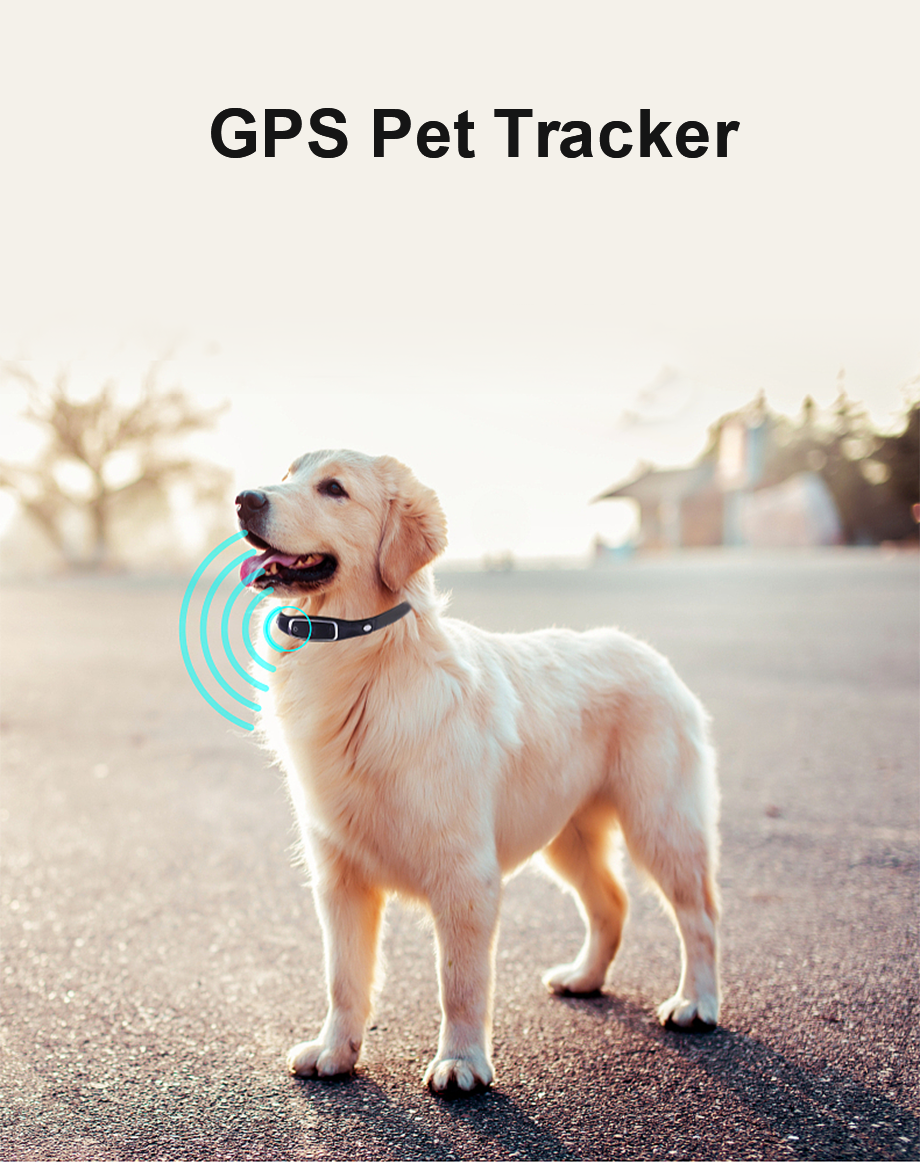 Tracker GPS pour Chien ou Chat avec attache Collier