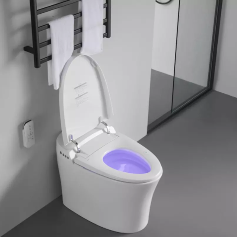 Bathroom Sanitaryware Automatic Self-Cleaning Bidet Toilet Potty