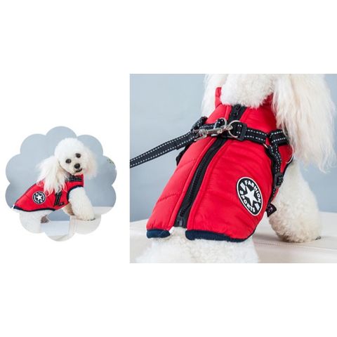 Designer Dog Clothes - Dog Clothing For Teacup Puppies and Small