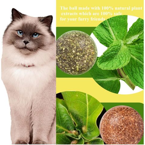 Avocado Tumbler Cat Toy Multifunctional Mint Catnip Ball Leaky Toy Funny  Cat Stick Puzzle Grinding Tooth Clean Ball Pet Supplies