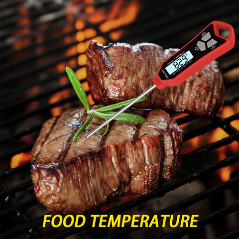 https://p.globalsources.com/IMAGES/PDT/B5583208867/meat-Thermometer.jpg