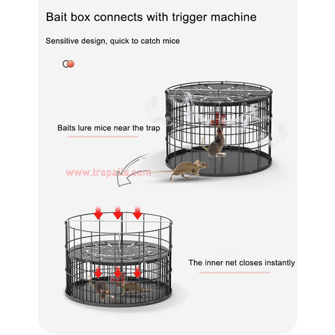 https://p.globalsources.com/IMAGES/PDT/B5591398151/Automatic-Multi-catch-Mouse-Trap-Cage.jpg