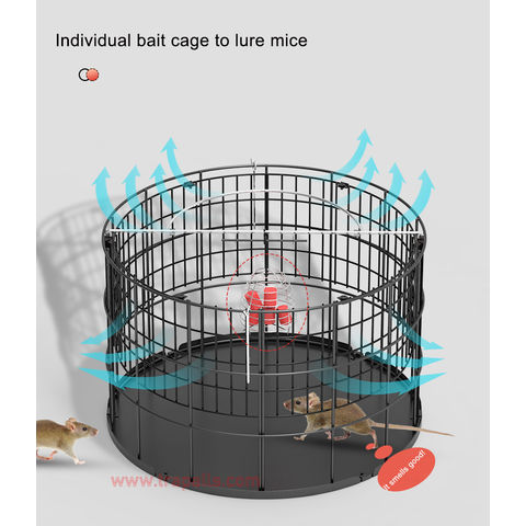 Reusable No Poison Mouse Trap Cage for Pest Control - China Mouse Cage and  Rat Cage price