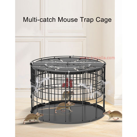 https://p.globalsources.com/IMAGES/PDT/B5591398176/Automatic-Multi-catch-Mouse-Trap-Cage.jpg