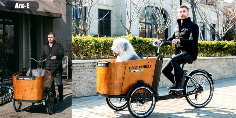 Achetez en gros Vélo électrique Avec Housse De Pluie Cargo Tricycle Pour  Transporter Les Enfants Chine et Vélo électrique à 1480 USD