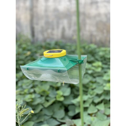 Indoor Outdoor Garden Bug Catcher a Flying Bug Trap Eco-Friendly Moth Trap  - China Moth Trap and Moth Glue Trap price