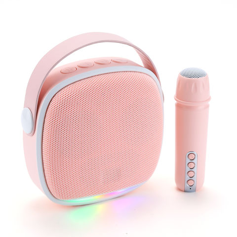 Nouvelle arrivée d'usine chinoise KTV haut-parleur audio mini haut-parleur karaoké avec microphone