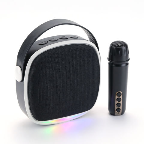 Nouvelle arrivée d'usine chinoise KTV haut-parleur audio mini haut-parleur karaoké avec microphone