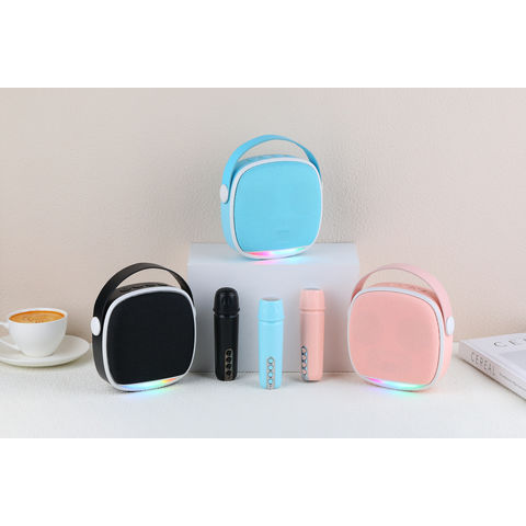 Nouvelle arrivée d'usine chinoise KTV haut-parleur audio mini haut-parleur karaoké avec microphone