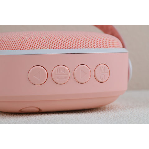 Nouvelle arrivée d'usine chinoise KTV haut-parleur audio mini haut-parleur karaoké avec microphone
