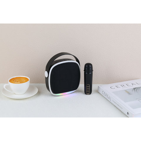 Nouvelle arrivée d'usine chinoise KTV haut-parleur audio mini haut-parleur karaoké avec microphone
