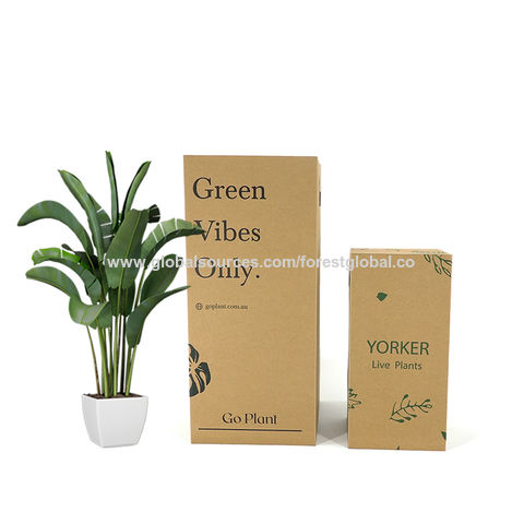 https://p.globalsources.com/IMAGES/PDT/B5606707816/Wholesale-eco-friendly-paper-packing-boxes.jpg