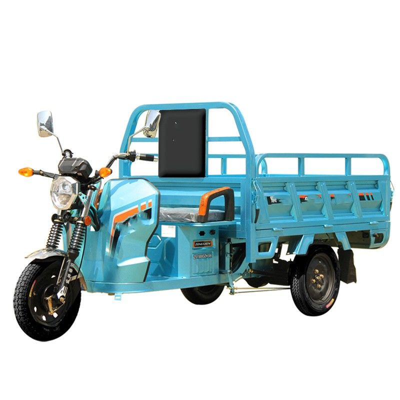 2023 Sale EEC 3 Seats Triciclo Electrico Adulto Three Wheel Electric  Tricycle Passenger - China Electric Tricycle, Electric Motorcycles