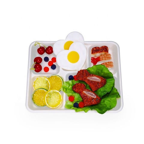 Buy Wholesale China Eco Food Containers 5 Compartment Plastic Foam Disposable  Plates Lunch Tray & Lunch Box at USD 0.0013