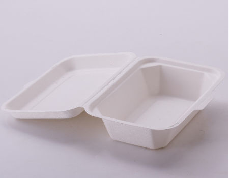 Disposable Takeaway Plates With Cover - 50pcs