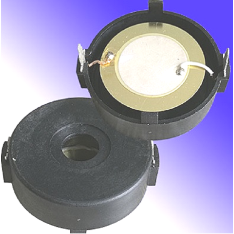 Buy Wholesale China 45mm 100db Loud Sound Piezo Alarm, 3v,5v,12v,24v Pizeo  Buzzer & Loud Sound Buzzer at USD 0.7