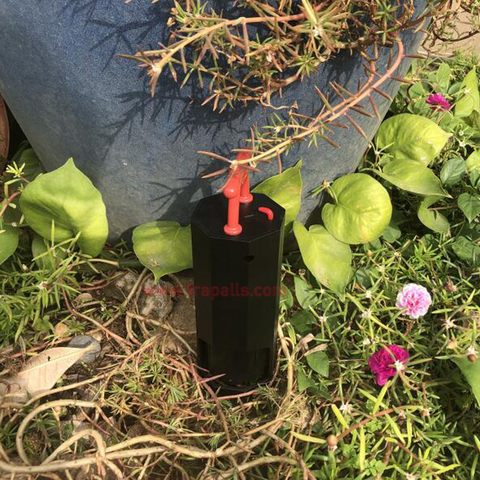 Reusable Plastic Easy Set Mole Killer Tunnel Catcher Vole Trap