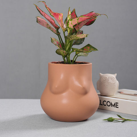 Buy Wholesale China Ceramic Houseplant Pot Retro Style Matte Grit Coloured  Galze Finished Decorative Mini Flower Planter & Retro Decorative Plant Pots  at USD 1.5