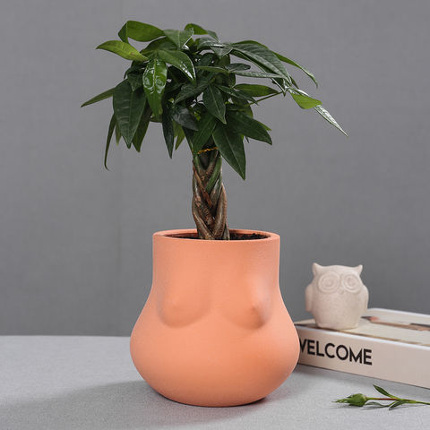 https://p.globalsources.com/IMAGES/PDT/B5618718376/Femal-boy-Flower-Planter-Pot.jpg