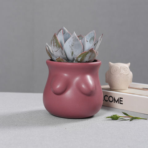 Buy Wholesale China Ceramic Houseplant Pot Retro Style Matte Grit Coloured  Galze Finished Decorative Mini Flower Planter & Retro Decorative Plant Pots  at USD 1.5