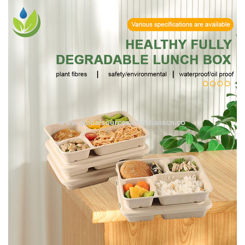 Restaurante de comida para llevar biodegradables desechables envases de  alimentos - China Contenedor de alimentos y Placa desechable precio