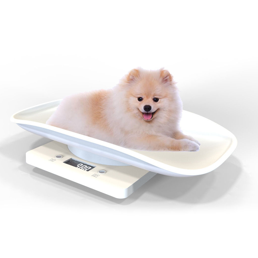 Made In China Pet Scale, Dog Scale, Animal Scale - Advent