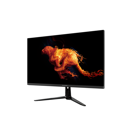 Buy Wholesale China 24.5 360hz Gaming Monitor Fhd Ips Amd