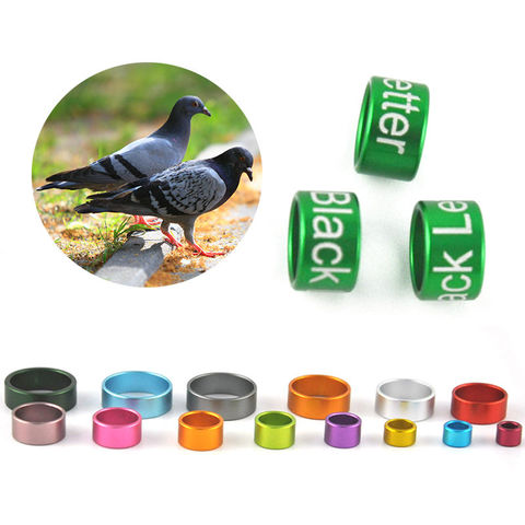 100 Anneaux De Jambe Pour Volailles - 8mm, 10 Couleurs, Pour Poules, Pigeons, Identification Animaux
