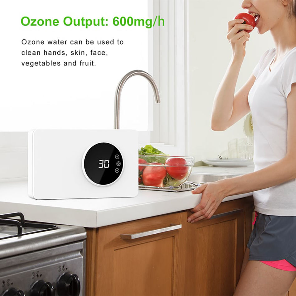  Salida 600mg/h del ozono del purificador de aire del generador  de ozono : Hogar y Cocina