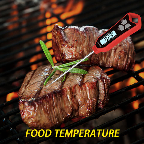 Buy Wholesale China Digital Kitchen Cooking Bbq Candy Food Temperature  Thermometer & Meat Thermometer at USD 4