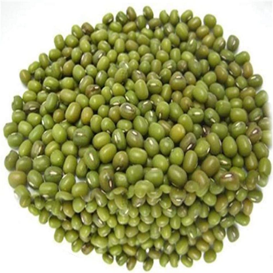 Buy Wholesale Thailand Green Mung Bean - Mung Bean & Green Mung Bean ...