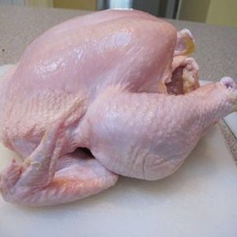 Buy Wholesale Thailand Frozen Best Grade Turkey Meat / Turkey Wings,turkey  Leg Tail & Frozen Best Grade Turkey Meat / Turkey Wings at USD 200