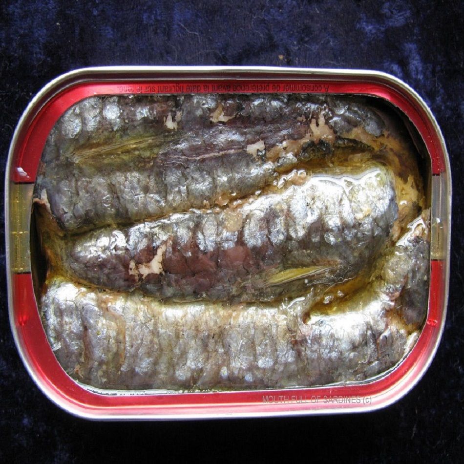Buy Wholesale Thailand Canned Mackerel Tin Fish 425g & Canned Mackerel Tin Fish 425g at USD 2