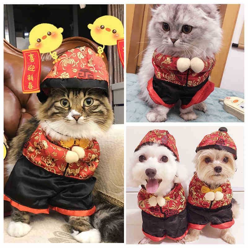 Kaufen Sie China Großhandels-Großhandel Niedliche Und Lustige Katze Kostüme  3d Transformation Kostüme Haustier Tuch Halloween und Haustier  Großhandelsanbietern zu einem Preis von 2.55 USD